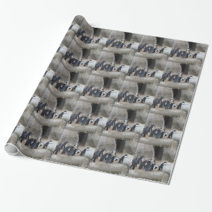 Papier Cadeau Papier d'emballage de pingouins