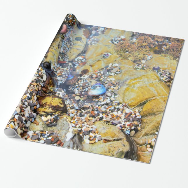Papier Cadeau Papier d'emballage de piscine de marée (Déroulé)