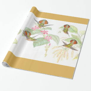 Papier Cadeau Papier d'emballage des colibris de Goulds