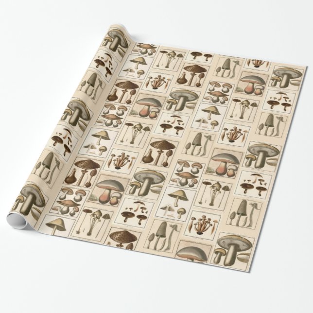Papier Cadeau Papier d'emballage d'impression botaniques (Déroulé)