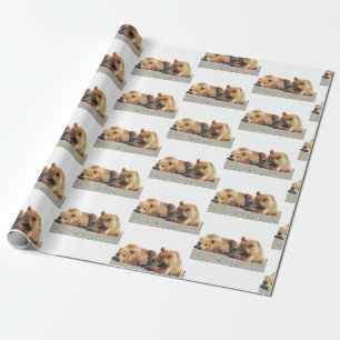 Papier Cadeau papier d'emballage grizzli