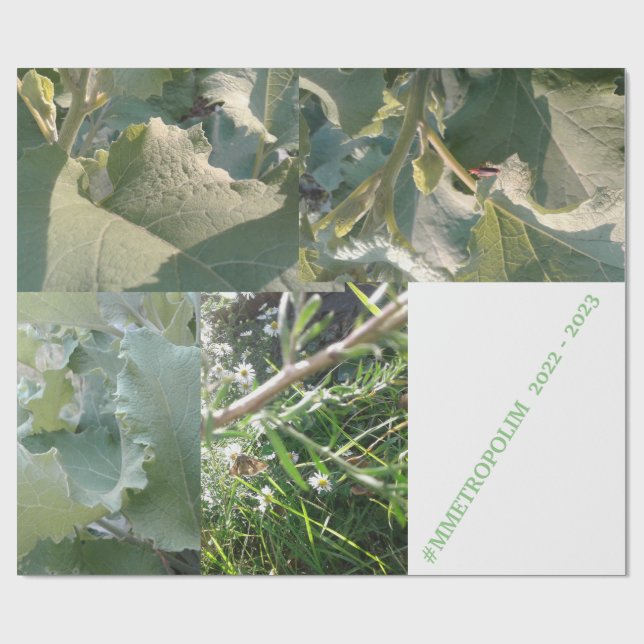 Papier Cadeau Papier d'emballage/MMETROPOLIMdesign (Plat)