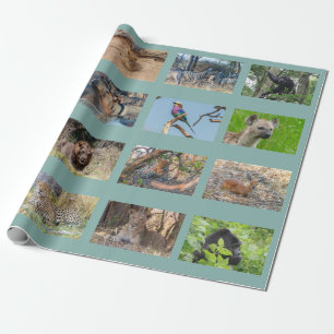 Papier Cadeau Papier d'emballage pour la faune africaine