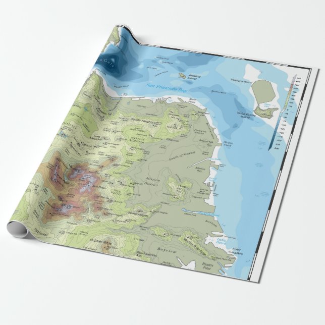 Papier Cadeau Papier d'emballage - San Francisco Topo (Déroulé)