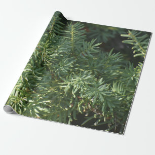 Papier Cadeau Papier d'enlèvement de la forêt de pins