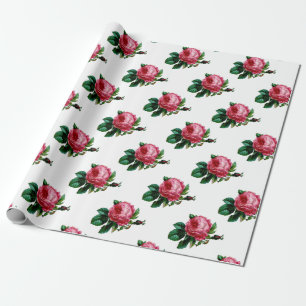 Papier Cadeau Papier d'enlèvement Rose de chou