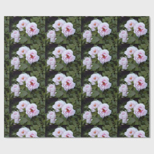 Papier Cadeau Papier d'enrobage de charmantes pivoines