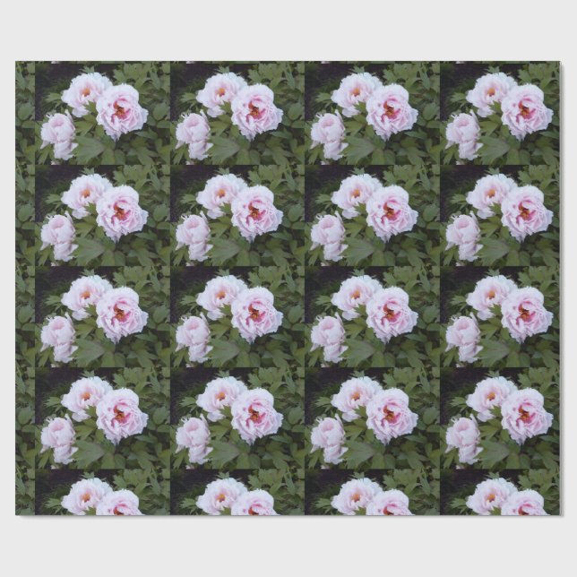 Papier Cadeau Papier d'enrobage de charmantes pivoines (Plat)