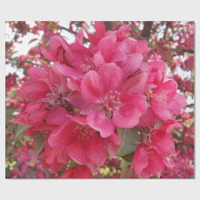 Papier Cadeau Papier d'enrobage de fleur de printemps (Plat)