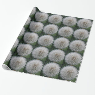 Papier Cadeau Papier d'enrobage de la fleur de Dandelion