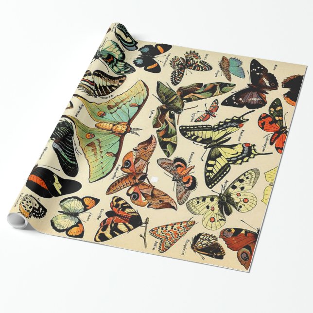 Papier Cadeau Papier d'enveloppement Adolphe Millot Papillons (Déroulé)
