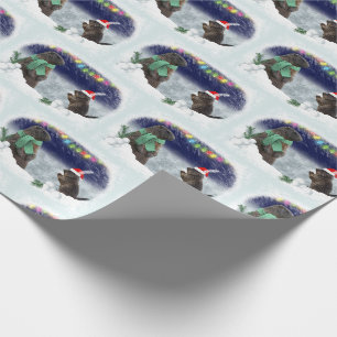 Papier Cadeau Papier d'enveloppement de boule de neige