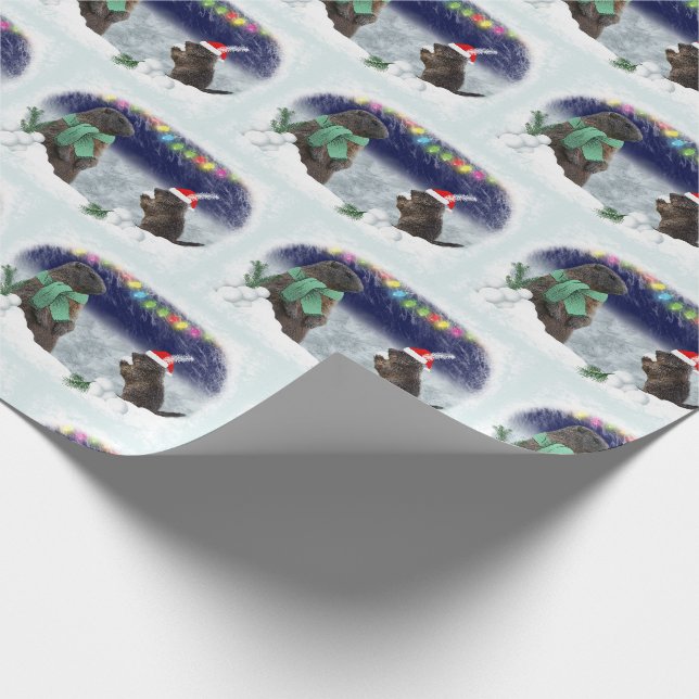 Papier Cadeau Papier d'enveloppement de boule de neige (Coin)