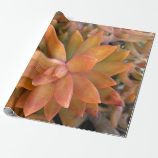 Papier Cadeau Papier d'enveloppement de cadeaux succulent