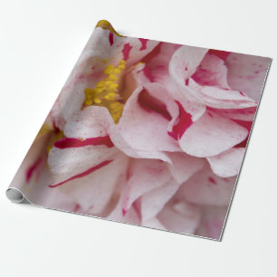 Papier Cadeau Papier d'enveloppement de Camellia rayé bonbon
