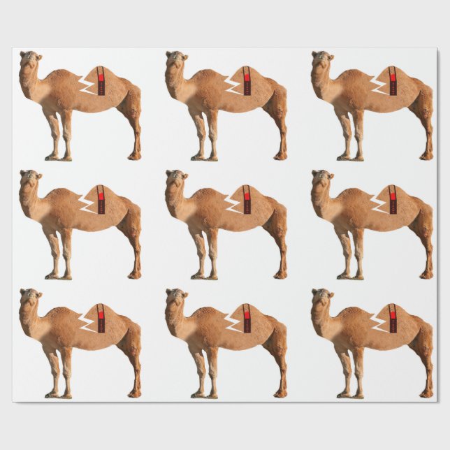 Papier Cadeau Papier d'enveloppement de divorce (Plat)