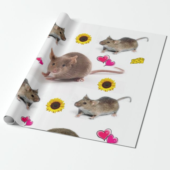 Papier Cadeau Papier d'enveloppement de la viande de tournesol (Déroulé)