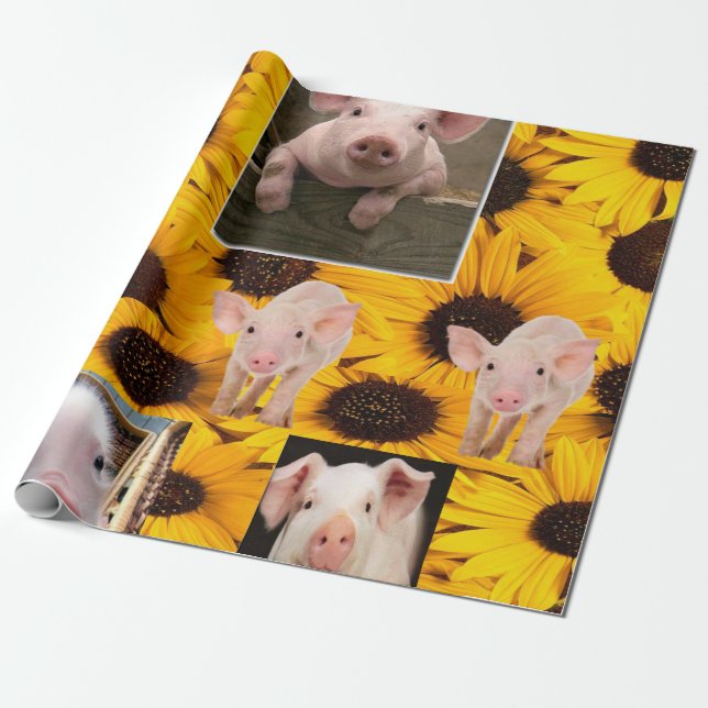 Papier Cadeau Papier d'enveloppement de matte de cochons de tour (Déroulé)