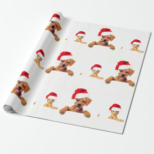 Papier Cadeau Papier d'enveloppement de Noël Amoureux des animau
