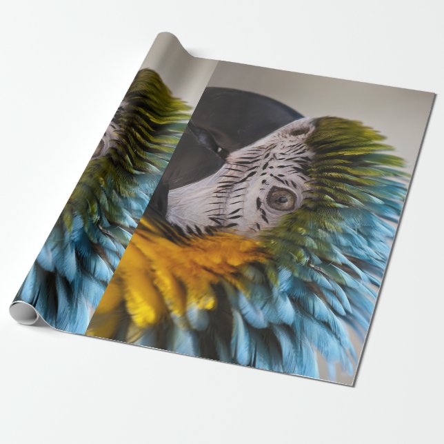 Papier Cadeau Papier d'enveloppement de perroquet de Macaw (Déroulé)