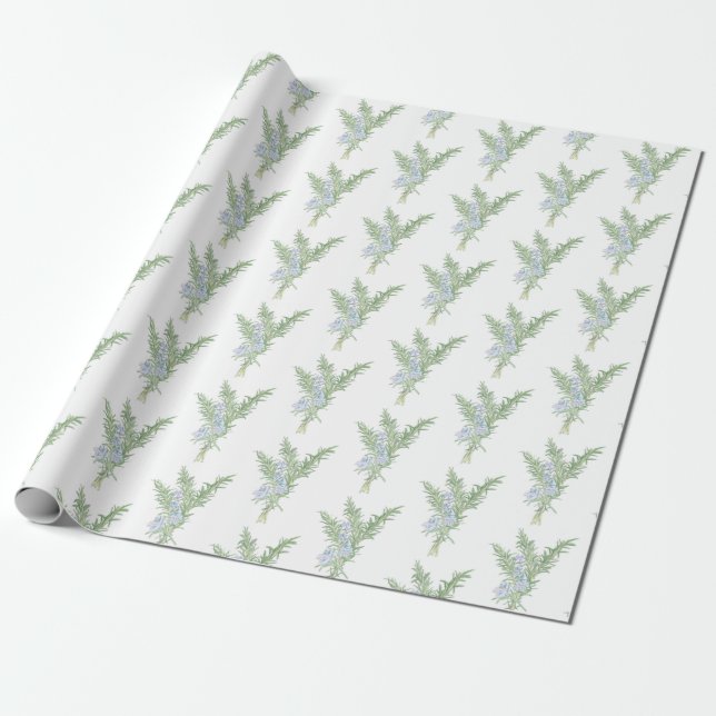 Papier Cadeau Papier d'enveloppement de romarin (Déroulé)