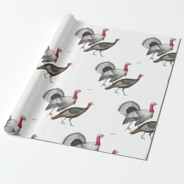 Papier Cadeau Papier d'enveloppement de Turquie (Déroulé)