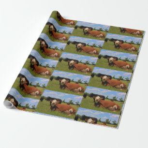 Papier Cadeau Papier d'enveloppement de vaches de Kansas Herefor