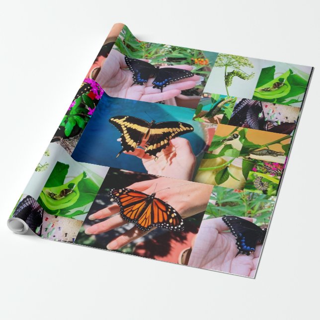 Papier Cadeau Papier d'enveloppement de vie papillon (Déroulé)