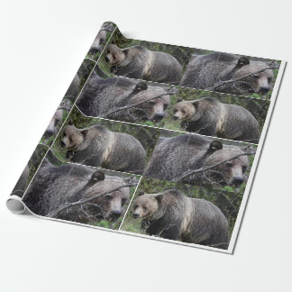 Papier Cadeau Papier d'enveloppement d'ours grizzli