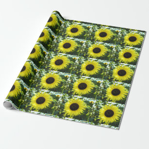 Papier Cadeau Papier d'enveloppement du jardin de tournesol