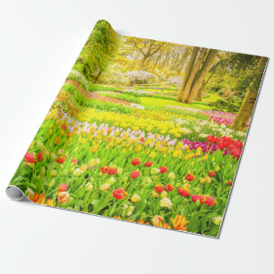 Papier Cadeau Papier d'enveloppement du parc des Tulipes et Daff