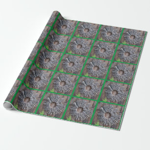 Papier Cadeau Papier d'enveloppement Zen Gardening