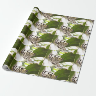 Papier Cadeau Papier papillon
