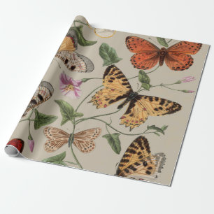 Papier Cadeau Papillon Moth Nature Collection Dessin