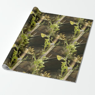 Papier Cadeau Papillons amoureux....