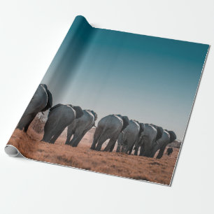 PAPIER CADEAU PARC NATIONAL D'ETOSHA