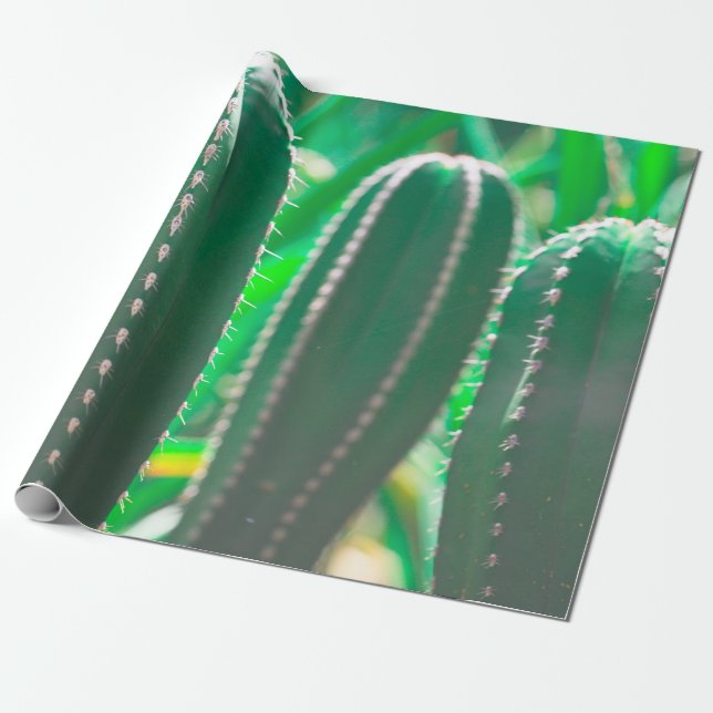 Papier Cadeau Pastel Green cactus plante pastel feuille (Déroulé)