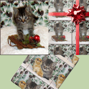 Papier Cadeau Patton's Christmas Playtime - Cat Christmas