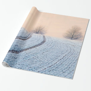 Papier Cadeau Paysages hivernaux pittoresques avec Hoarfrost Cad