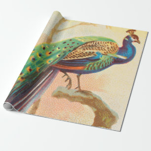 Papier Cadeau Peacock vintage sur une branche
