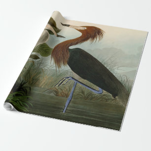 Papier Cadeau Peinture de la faune d'Audubon Heron violet
