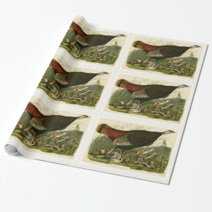 Papier Cadeau Peinture d'oiseaux sauvages de Turquie Audubon