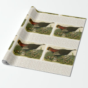 Papier Cadeau Peinture d'oiseaux sauvages de Turquie Audubon