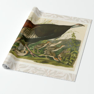 Papier Cadeau Peinture d'oiseaux sauvages de Turquie Audubon