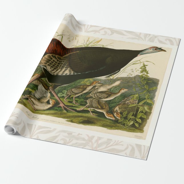 Papier Cadeau Peinture d'oiseaux sauvages de Turquie Audubon (Déroulé)