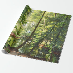 Papier Cadeau Peinture Paysage du ruisseau forestier Aagaard