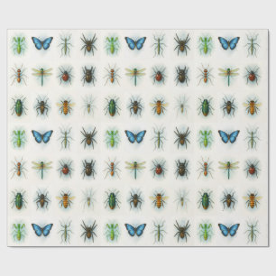 Papier Cadeau Peintures aquarelles de collection d'insectes art 