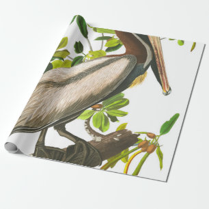 Papier Cadeau Pélican Brown par John James Audubon