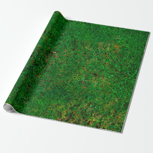 Papier Cadeau Pelouse pâturage pâturage