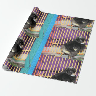 Papier Cadeau Pep